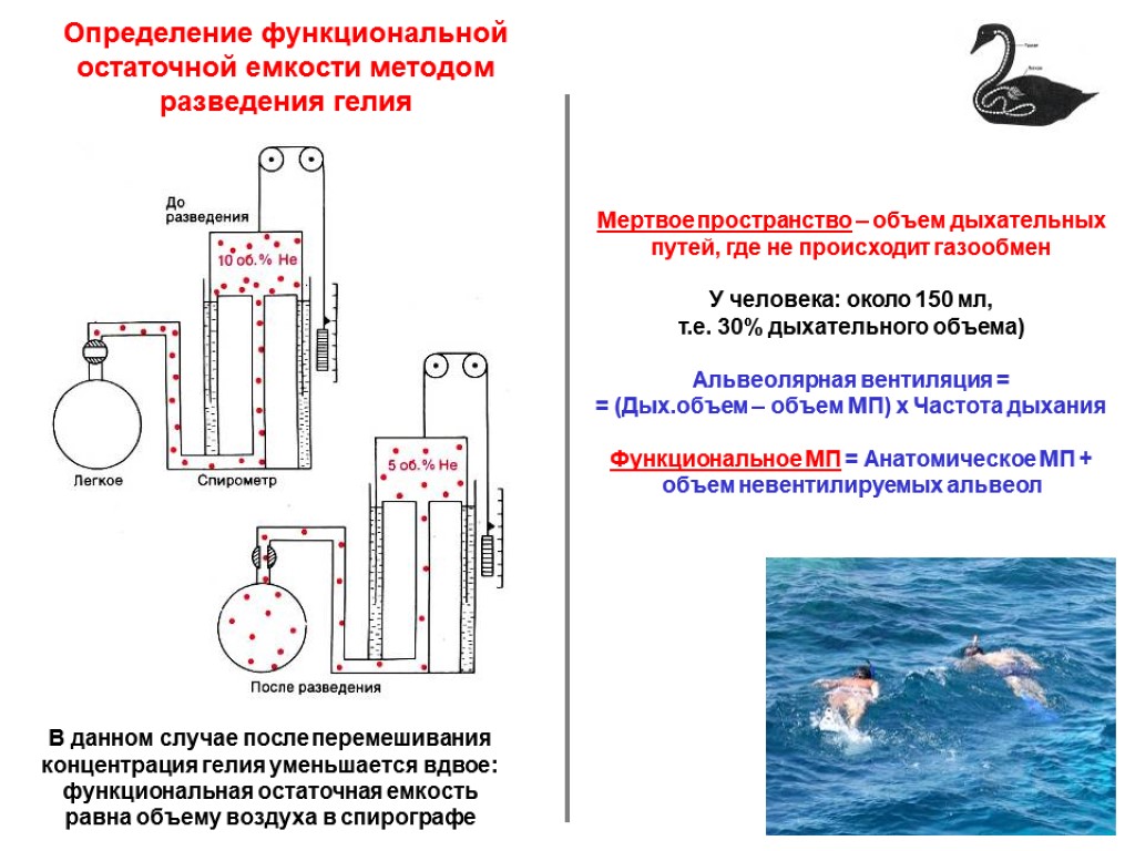 Определение функциональной остаточной емкости методом разведения гелия В данном случае после перемешивания концентрация гелия